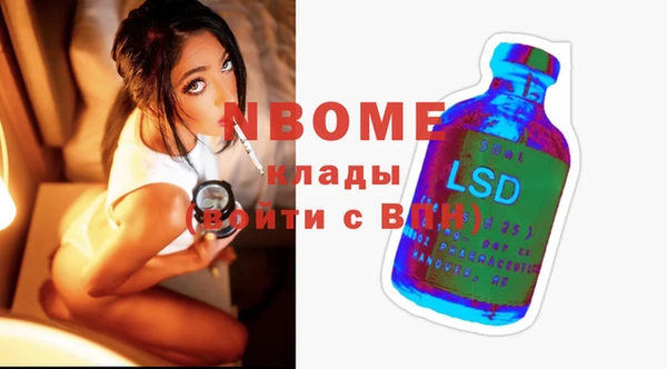 прущие грибы Алзамай
