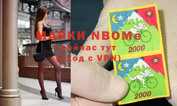 прущие грибы Алзамай