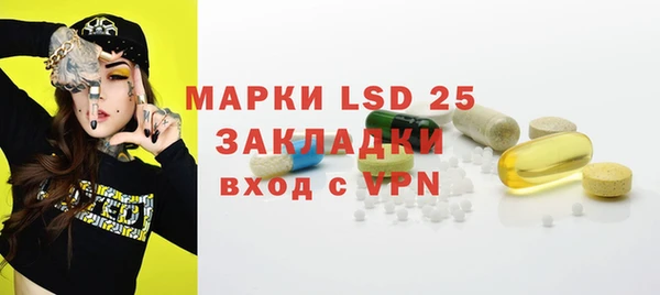 прущие грибы Алзамай