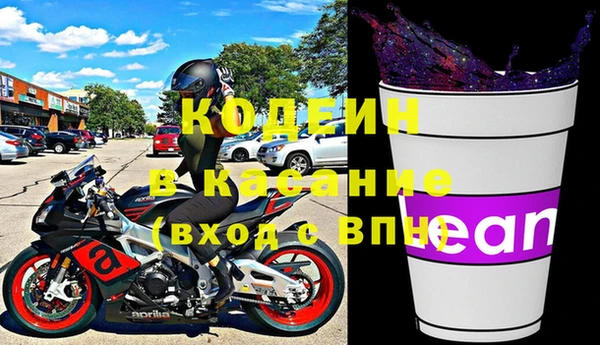 прущие грибы Алзамай