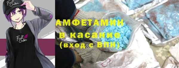 прущие грибы Алзамай